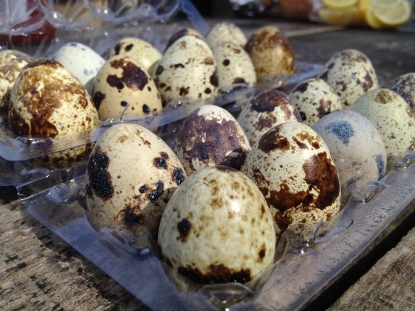 quail eggs