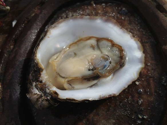 Tomales Bay Oyster Company