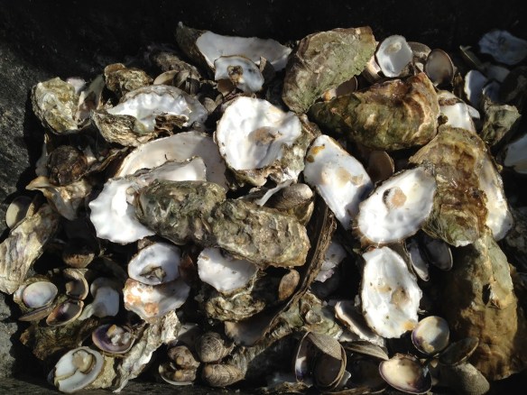 Tomales Bay Oyster Company