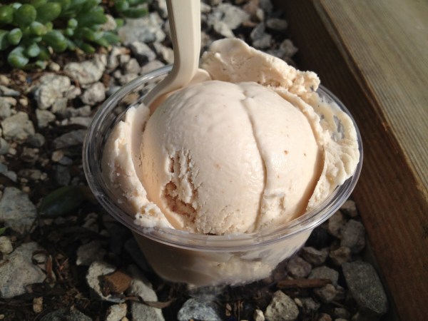 Dry cherry Xanath Ice Cream