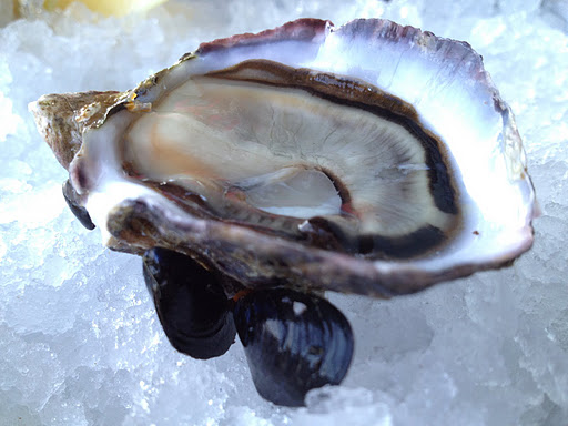Chelsea gems oysters Hog Island Oyster Bar
