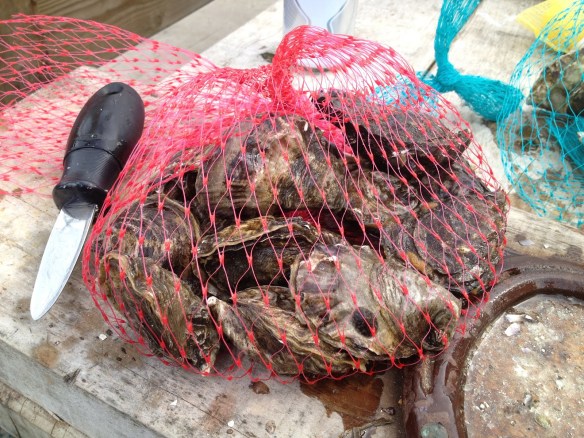 Tomales Bay Oyster Company