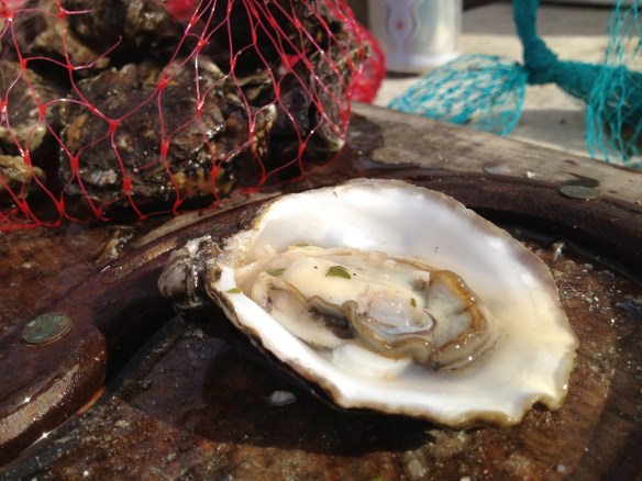 Tomales Bay Oyster Company