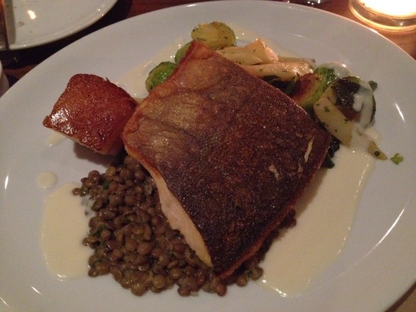 Cascade Mountain arctic char RN74